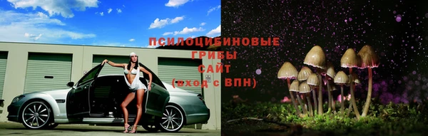 эйфоретик Карпинск
