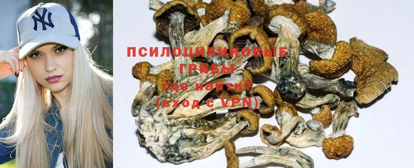 крисы Абдулино